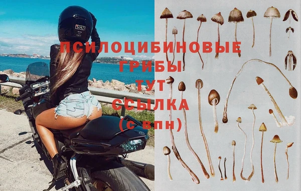каннабис Переславль-Залесский