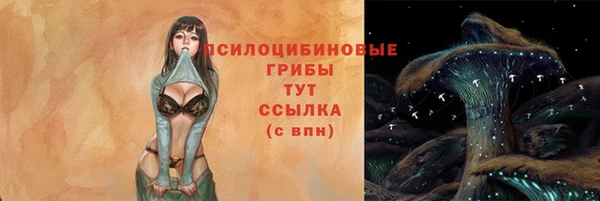 соль ск Пересвет