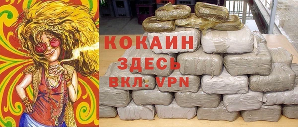 трава Осинники