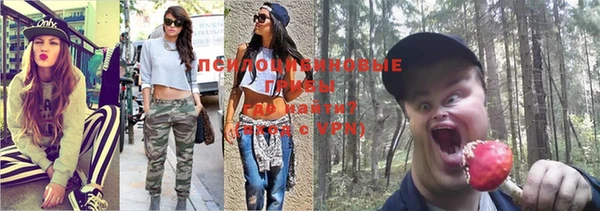 прущая мука Пестово