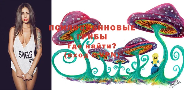прущая мука Пестово