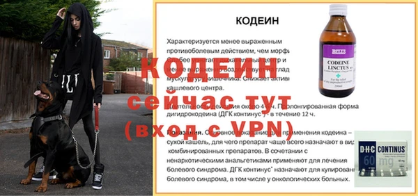 сатива Губаха