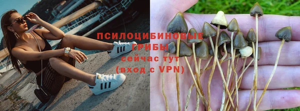 прущая мука Пестово