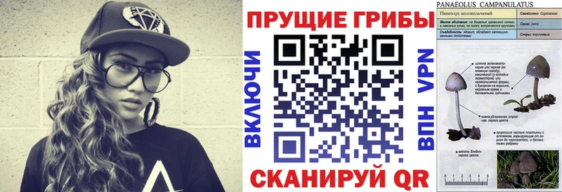 кракен ТОР  Семилуки  Галлюциногенные грибы Psilocybe  дарнет шоп 