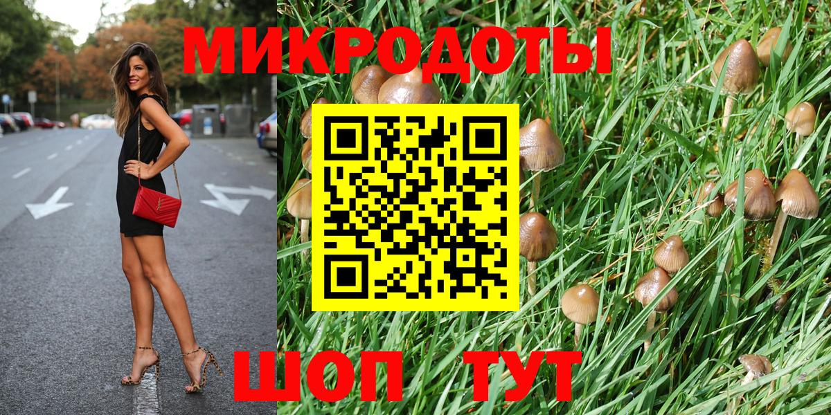 Галлюциногенные грибы Psilocybine cubensis Семилуки