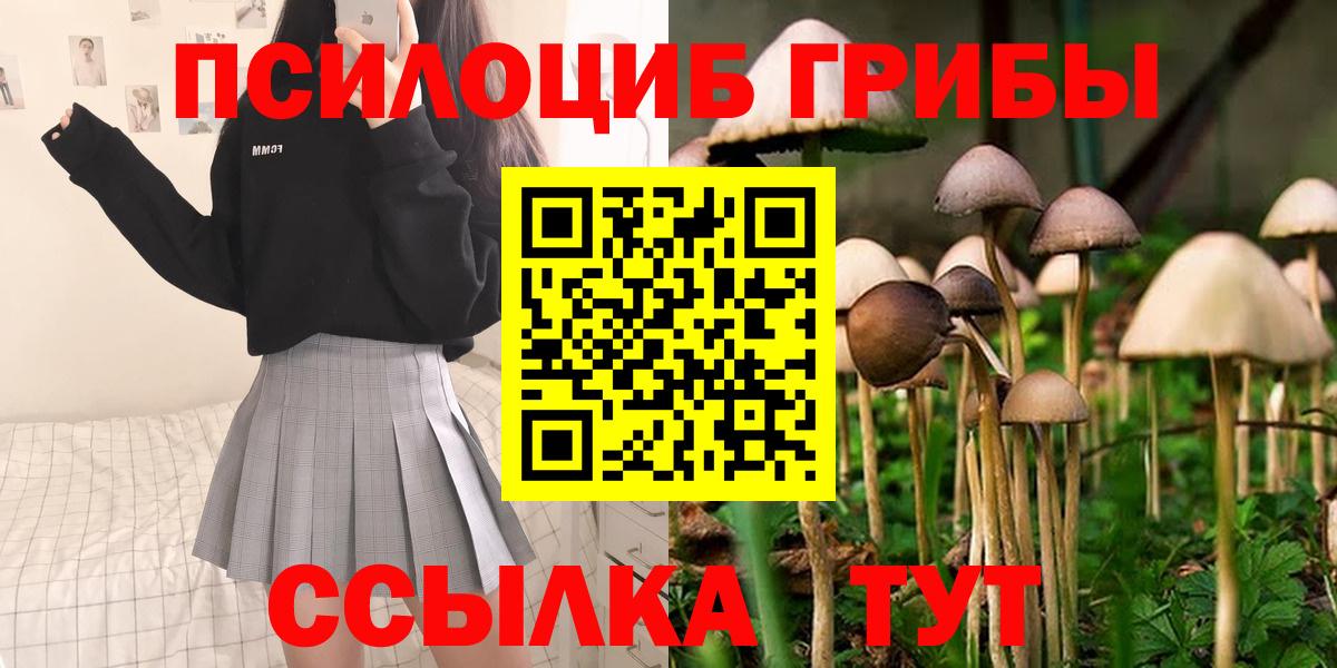 Семилуки  магазин продажи   Вход с VPN  Псилоцибиновые грибы MAGIC MUSHROOMS 
