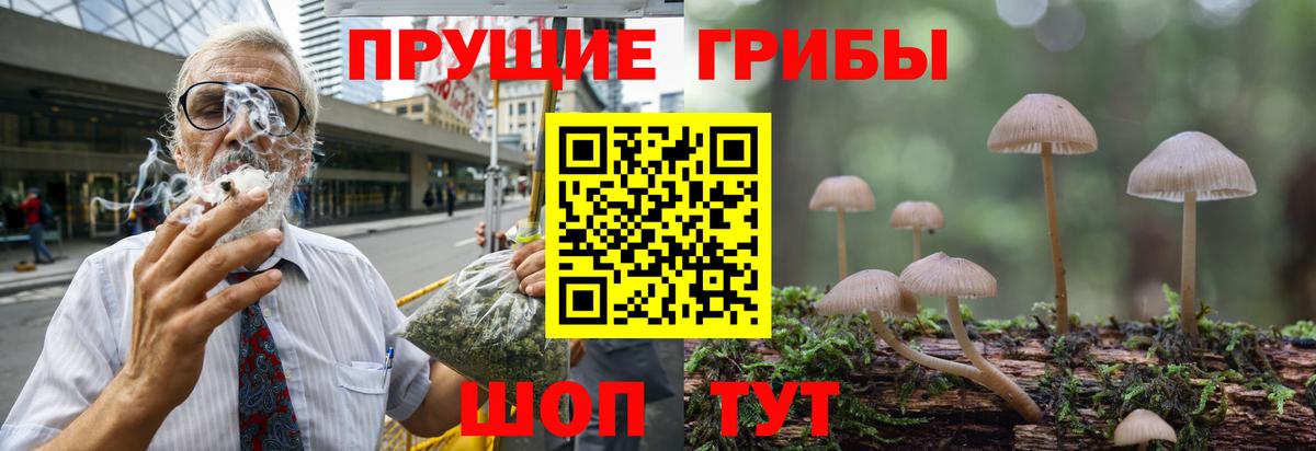 Галлюциногенные грибы мицелий  Семилуки  Галлюциногенные грибы Psilocybe 