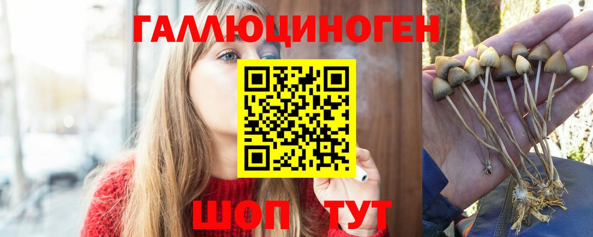 Галлюциногенные грибы прущие грибы Семилуки